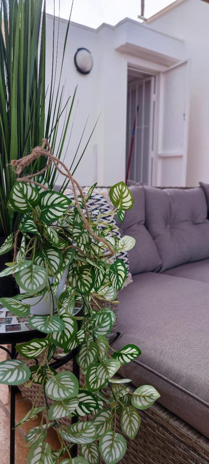 Apartamento Casa De Alba Cabo Cervera La Mata Torrevieja Exteriér fotografie